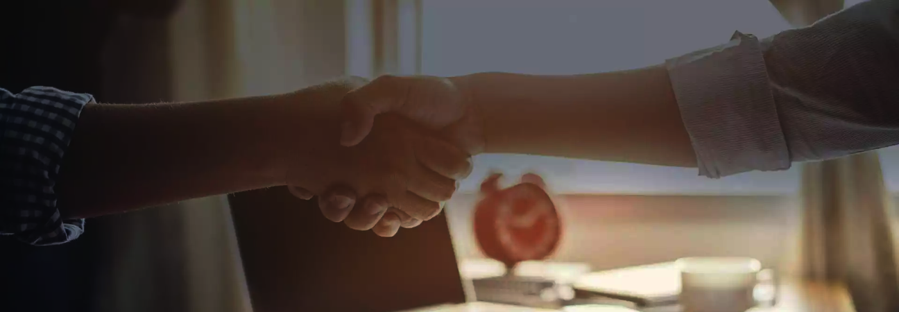 What we do ib Executive Education