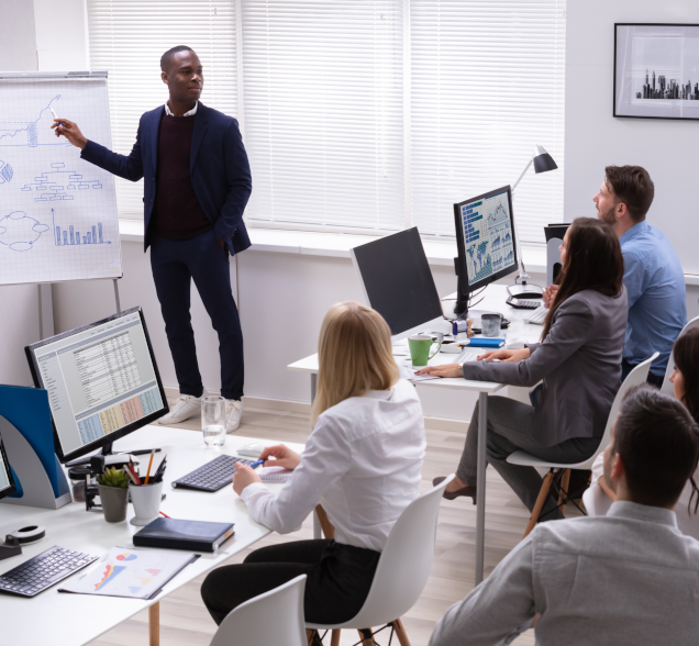 What does ib Executive Education do?